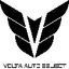 VOLTA AUTO SELECT LTD image