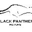 Black Panther Motors Ltd image