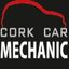 Cork Car Mechanic