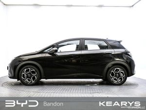 BYD DOLPHIN Comfort Order Today! - Image 4