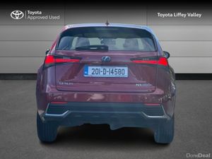 Lexus NX FWD EXECUTIVE CAR PLA 4DR AUTO NX300H - Image 4