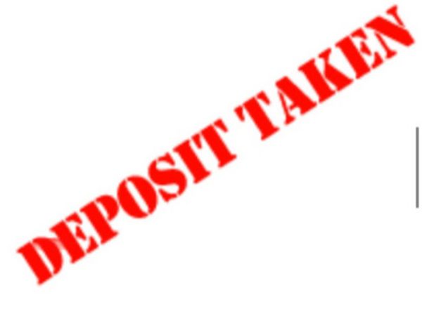 Fiat 500 Hatchback, Petrol, 2014, Black