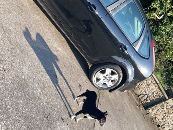 Ford Focus Hatchback, Diesel, 2009, Black