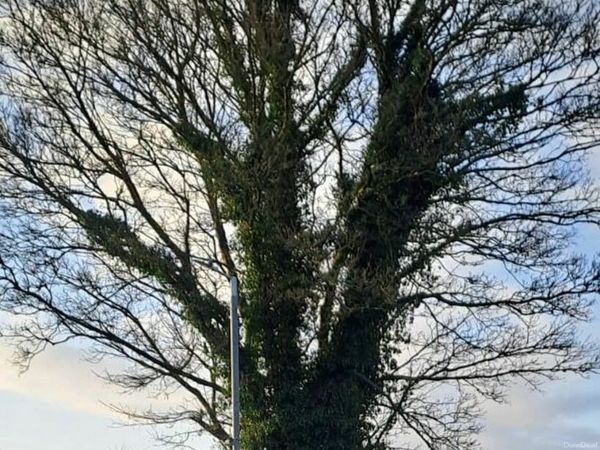 Hyundai Tucson SUV, Diesel, 2019, White