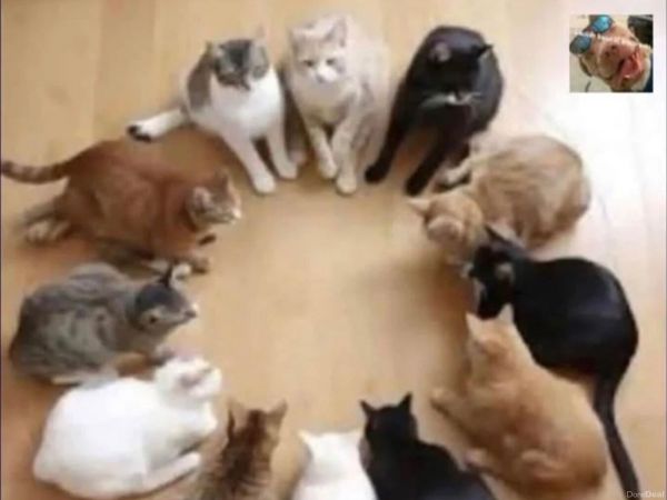 Mazda Mazda3 Saloon, Petrol, 2007, Black