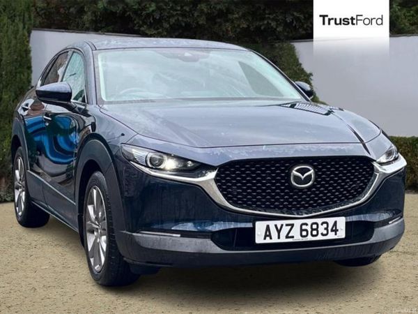 Other Other Hatchback, Petrol, 2021, Blue