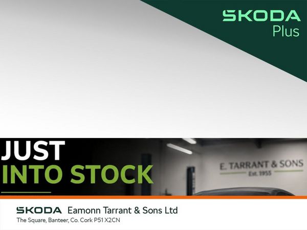Skoda Kodiaq SUV, Diesel, 2024, Grey