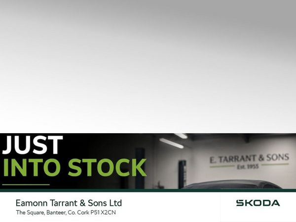 Skoda Karoq Estate, Diesel, 2024, Grey