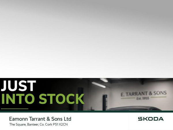 Skoda Karoq Estate, Petrol, 2024, Grey
