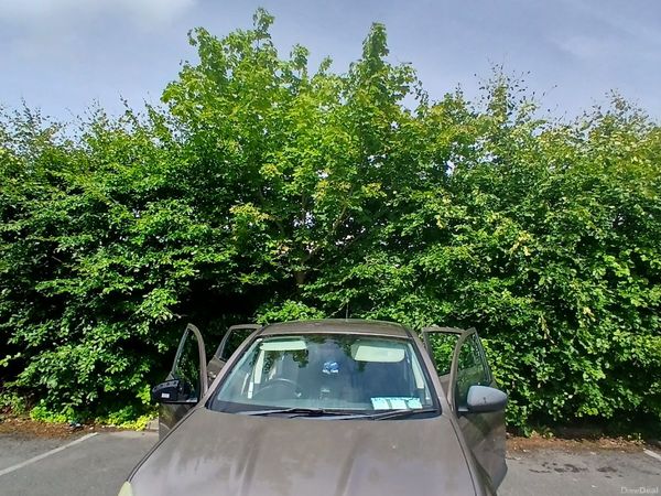 Nissan Qashqai Hatchback, Petrol, 2007, Brown