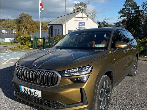 Skoda Kodiaq SUV, Diesel, 2024, Brown