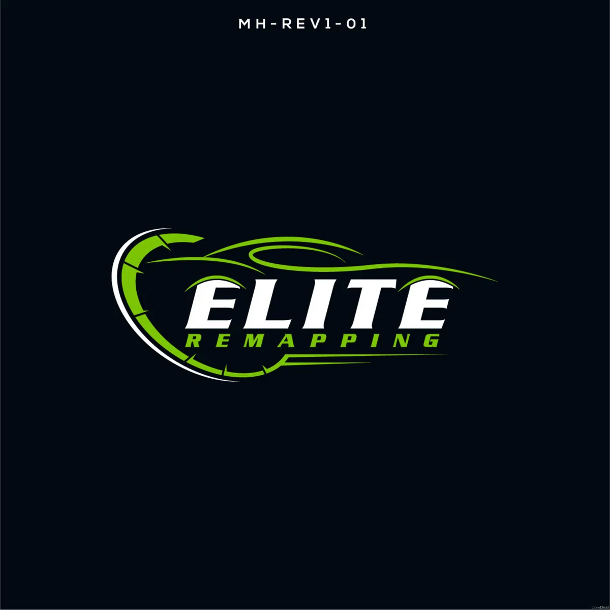 Remapping Adblue dpf egr