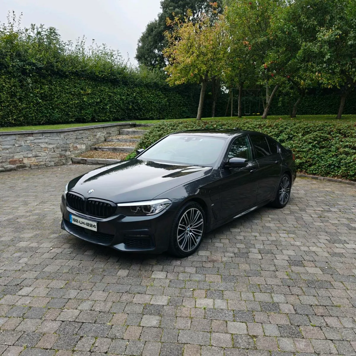 BMW 530e - Image 2