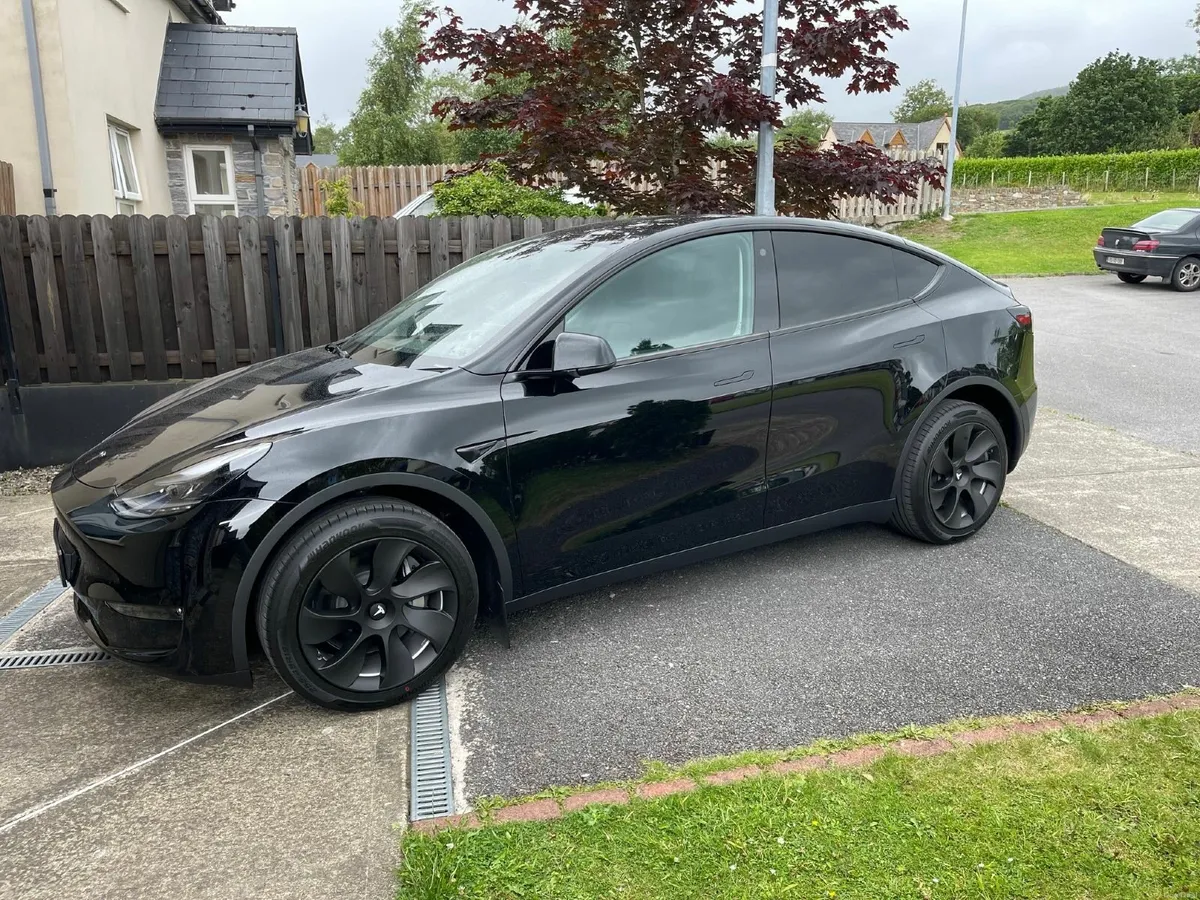 Tesla Model Y Long Range AWD PPF AccelerationBoost - Image 1