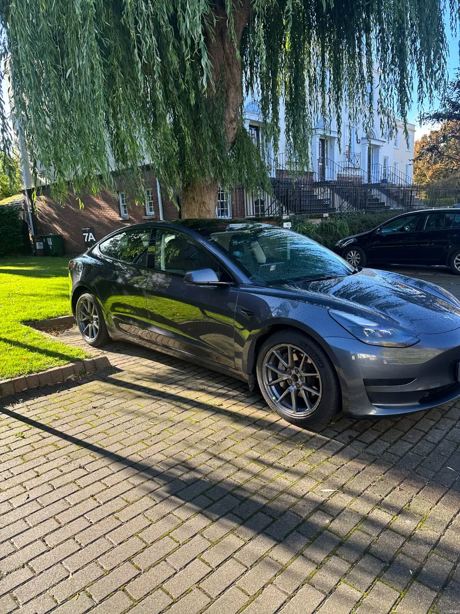 2021 Tesla Model 3 Standard Plus - Image 2