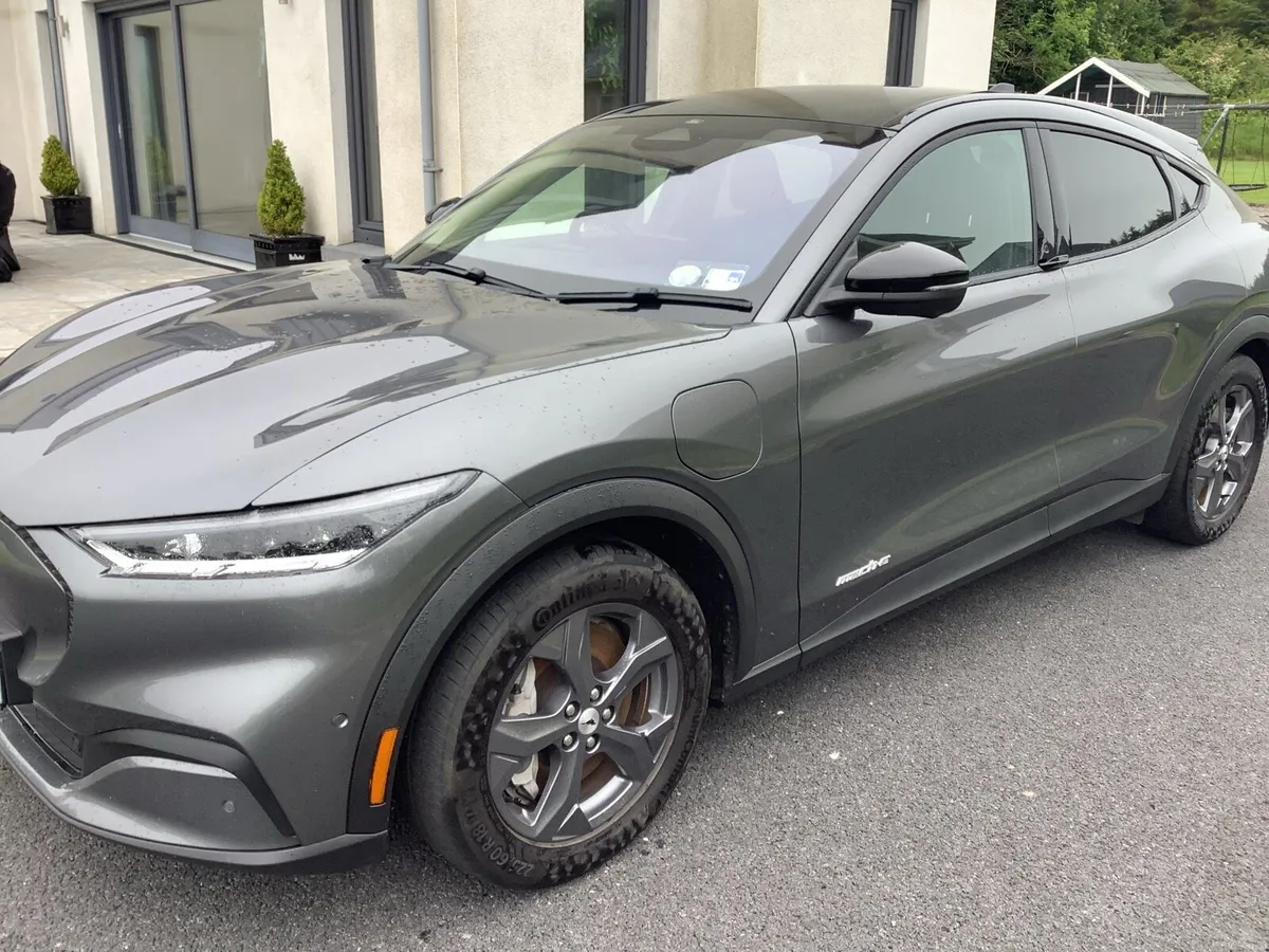 Ford Mustang Mach-E - Image 1