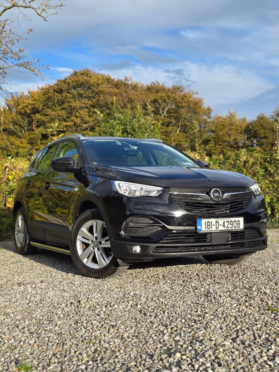 2018 Opel Grandland X SC 1.6 Turbo D 120PS - Image 1