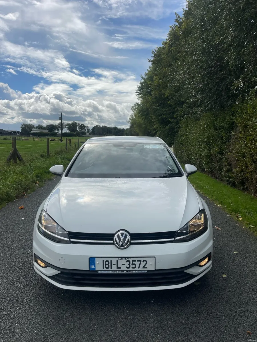 2018 Volkswagen Golf Van - Image 2