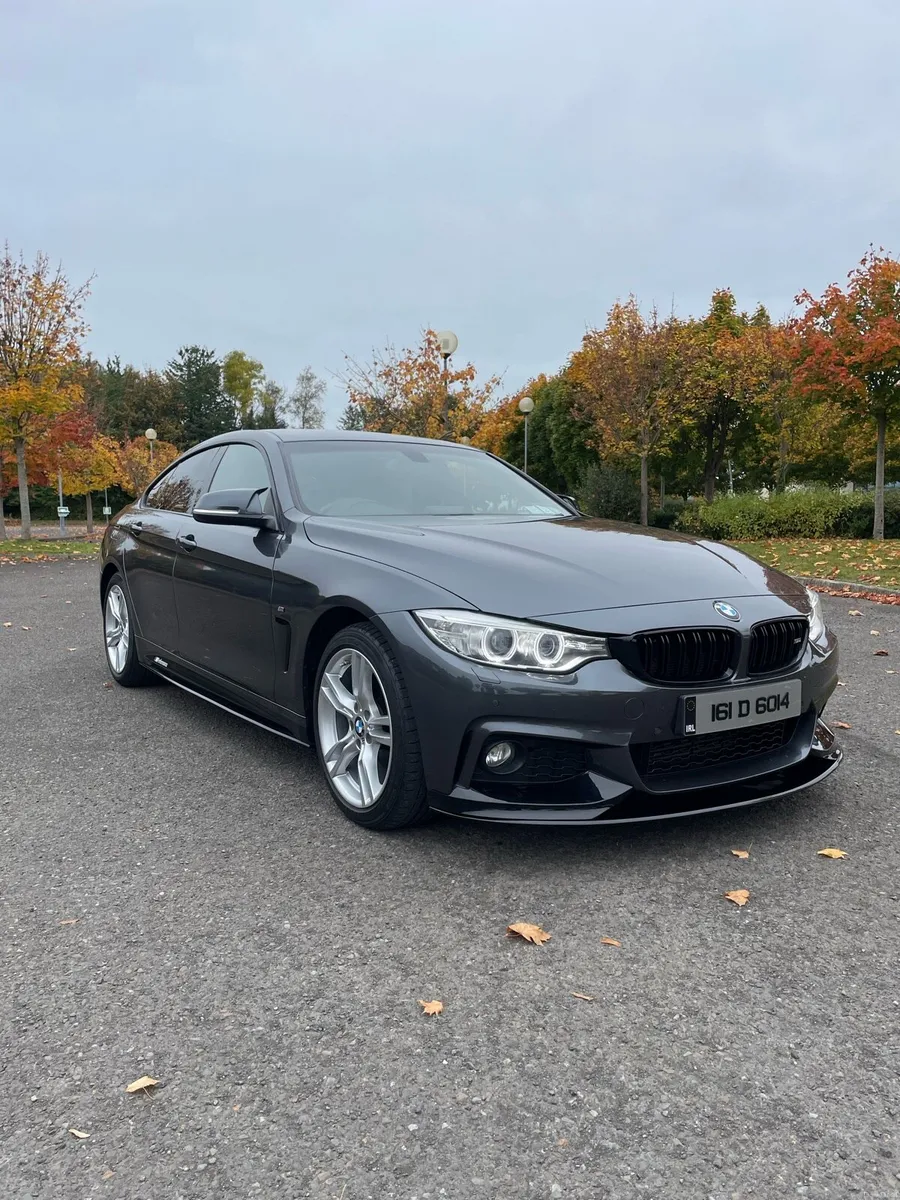 BMW 420d - Image 1