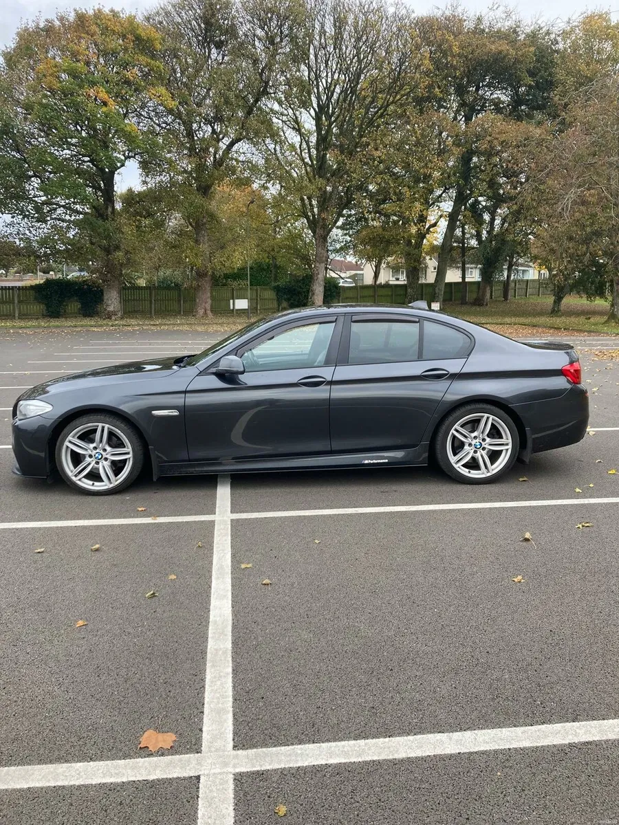 2013 BMW 520d - Image 2