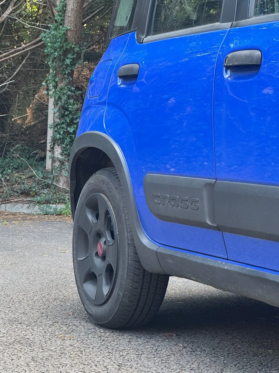 Fiat Panda Cross - Image 3