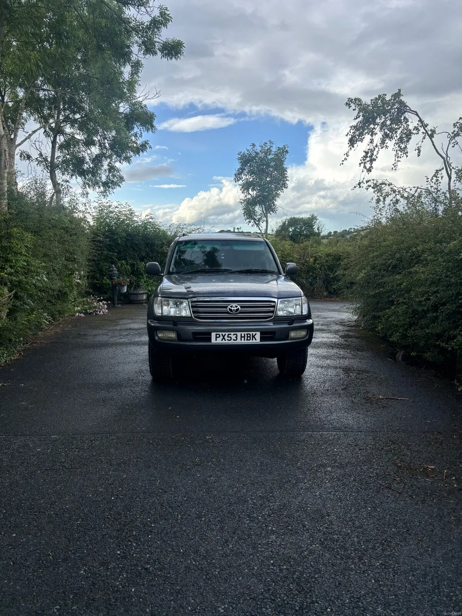 Toyota Amazon - Image 2