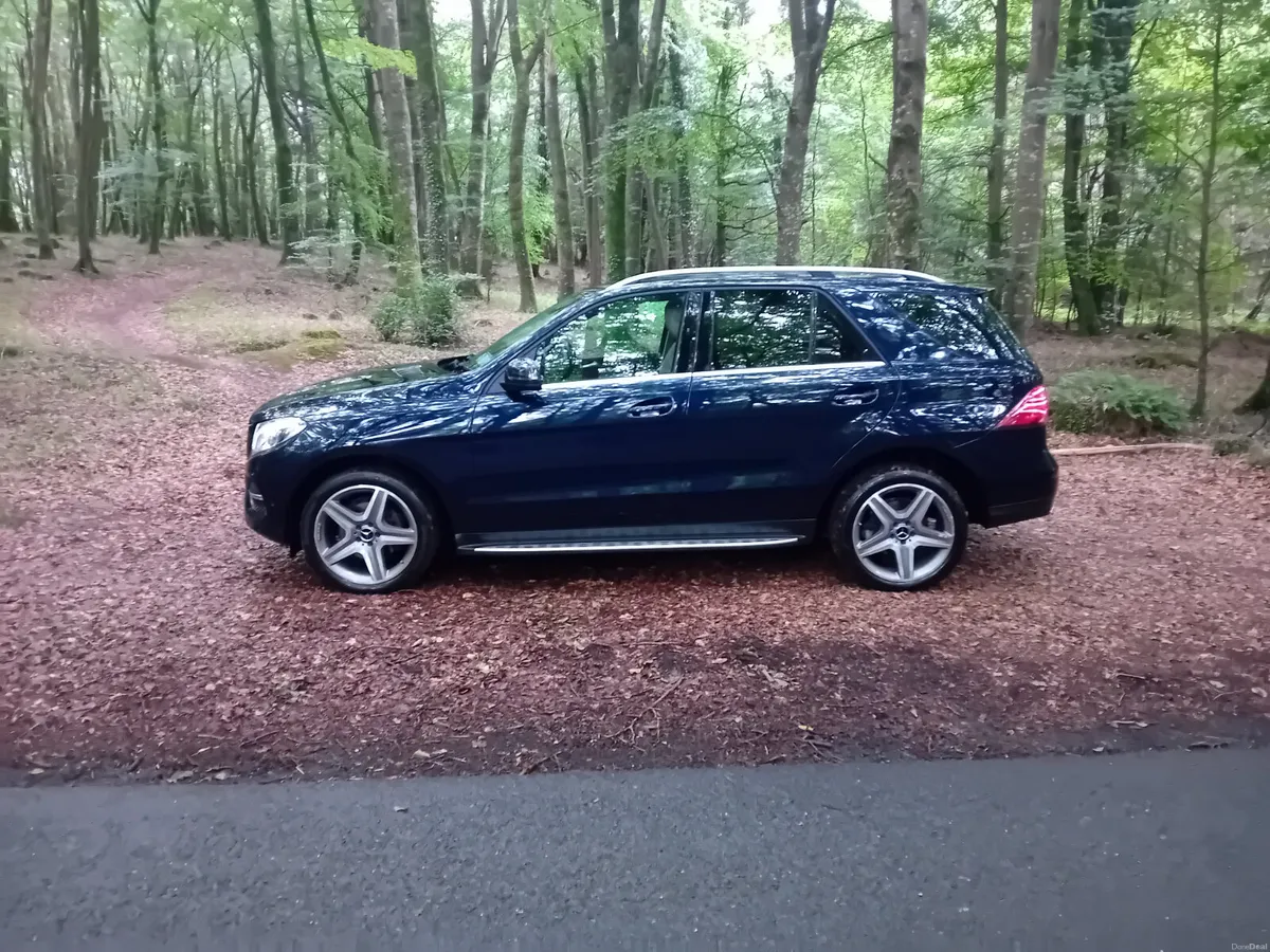 181 MERCEDES BENZ GLE 250D 4 MATIC ONLY 114 KLMS - Image 4