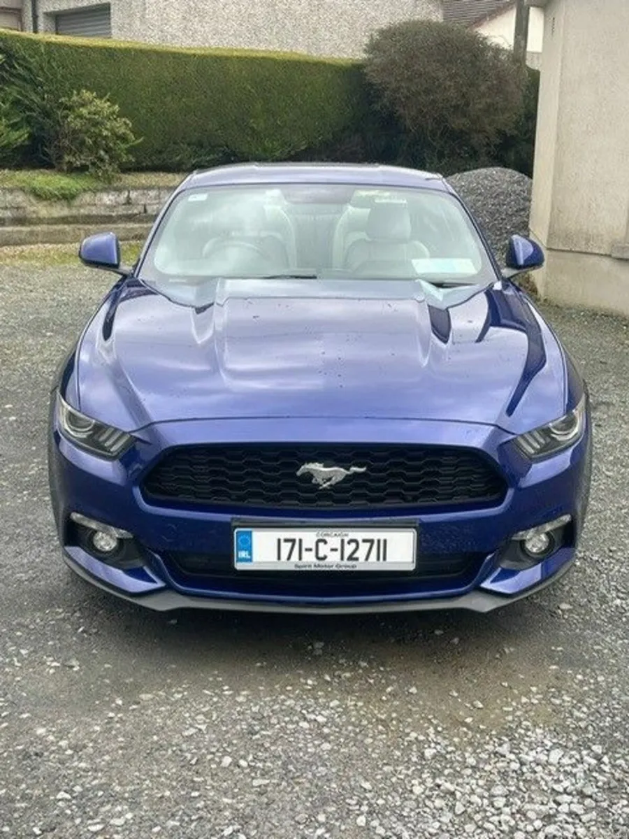 Mustang 2017 - Image 3