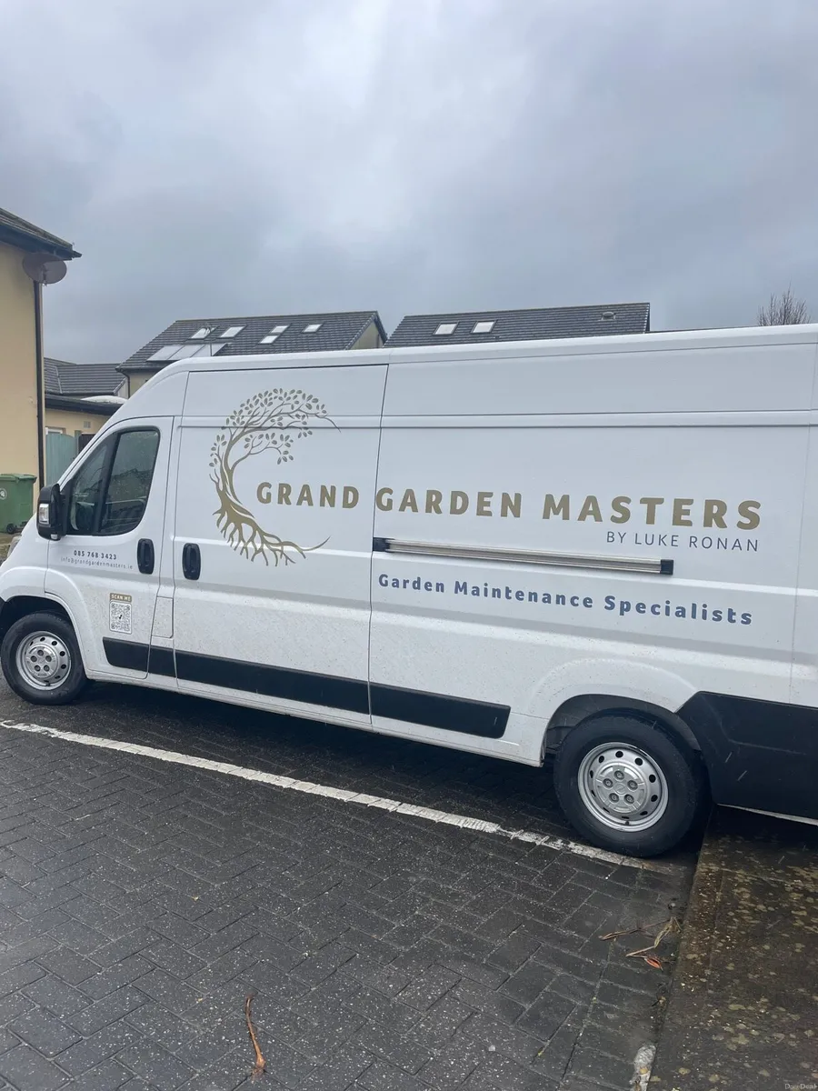 Opel Movano - Image 2