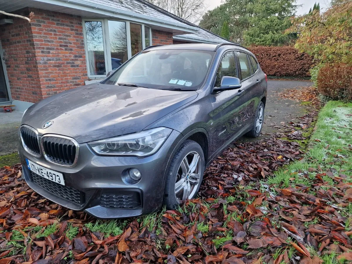 BMW X1 2017 xDrive20d mSport - Image 2