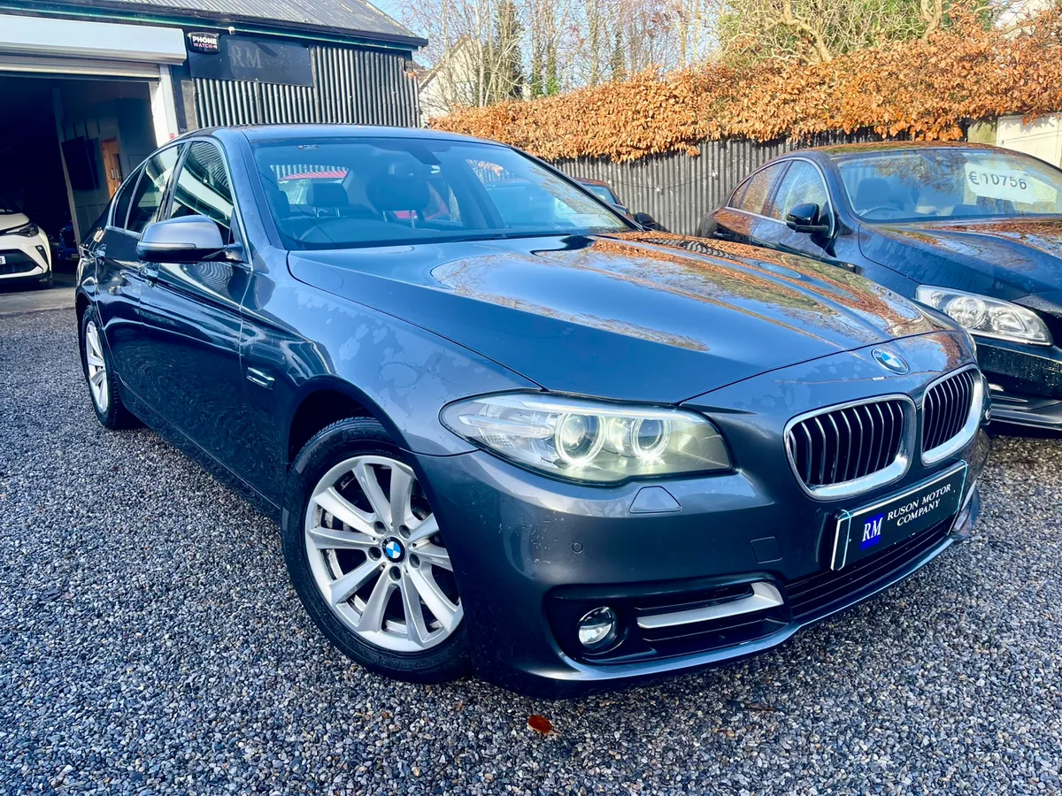 161 BMW 520d SE /Immaculate Condition - Image 4