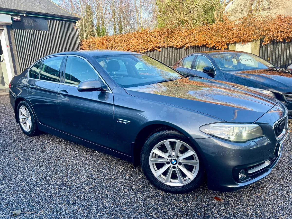 161 BMW 520d SE /Immaculate Condition - Image 2