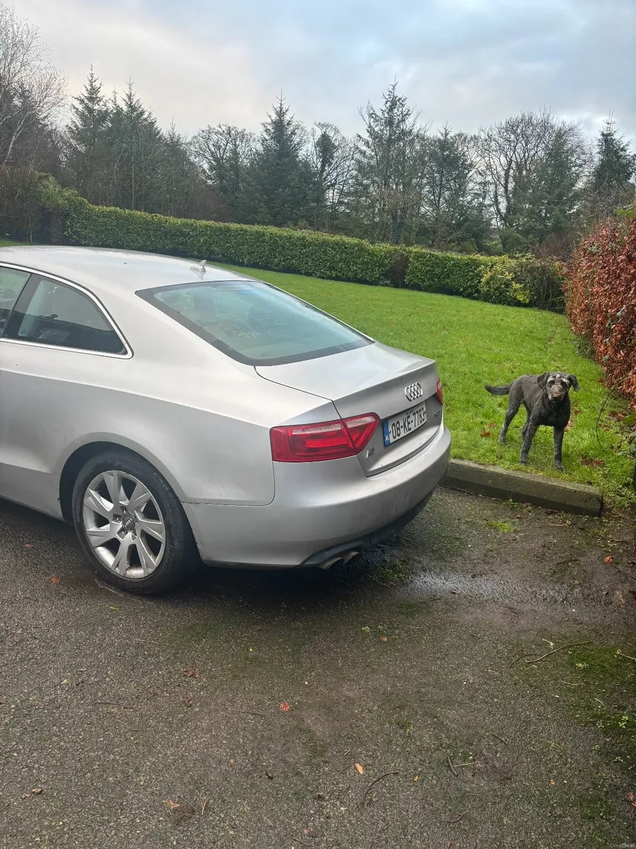 Audi A5 2008 - Image 3