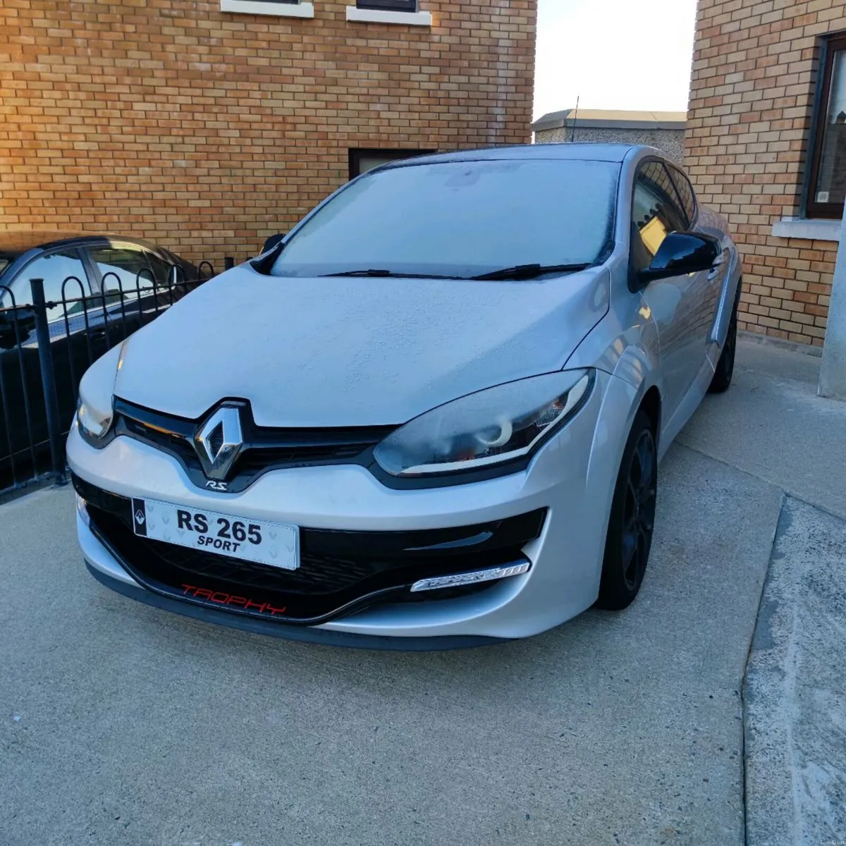 Renault MEGANE RS265 - Image 1