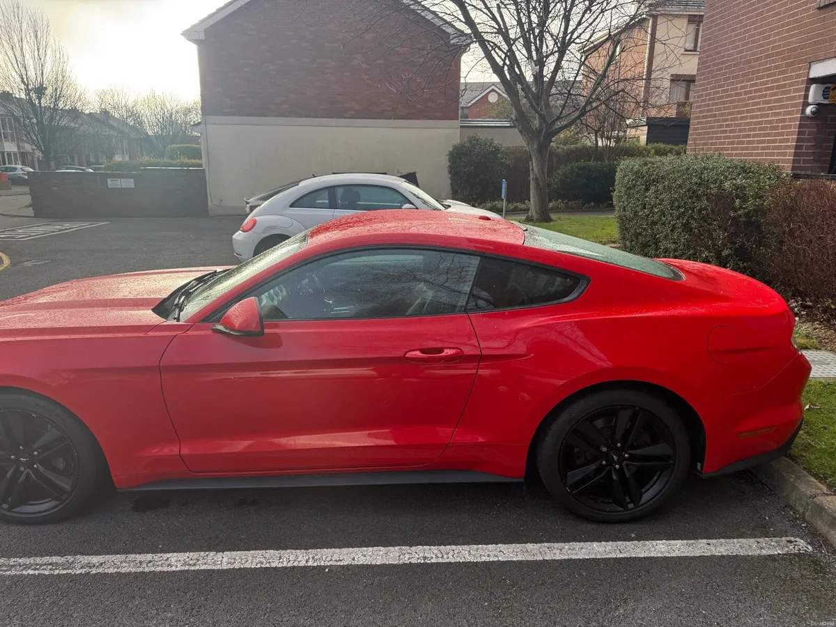 2016 ford mustang - Image 3