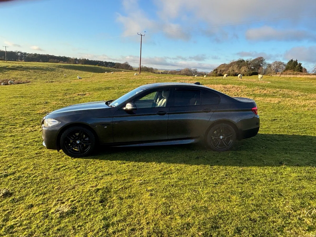 Bmw 520d msport - Image 2