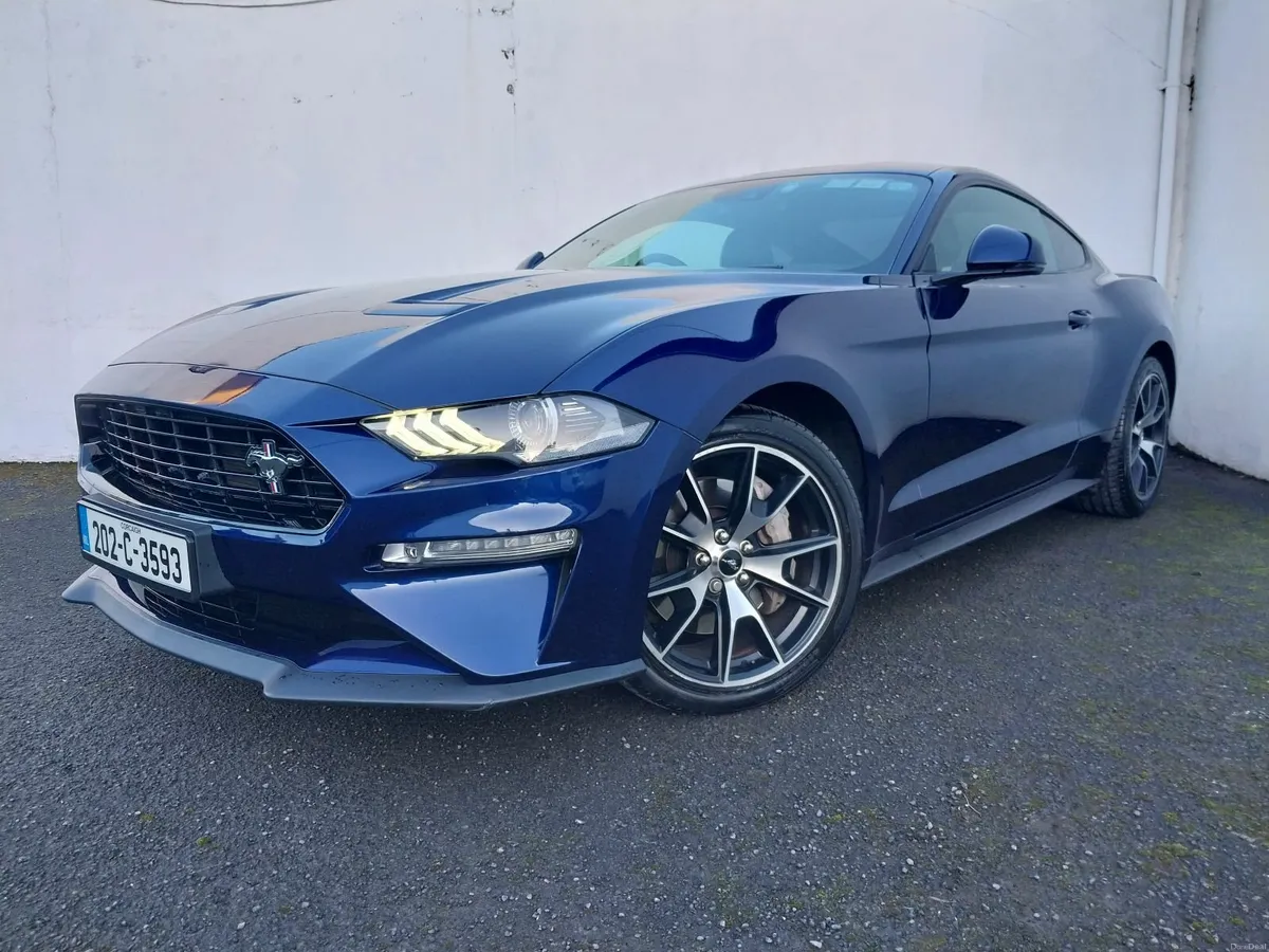 Exceptional Car, Finest Example in Ireland - Image 4