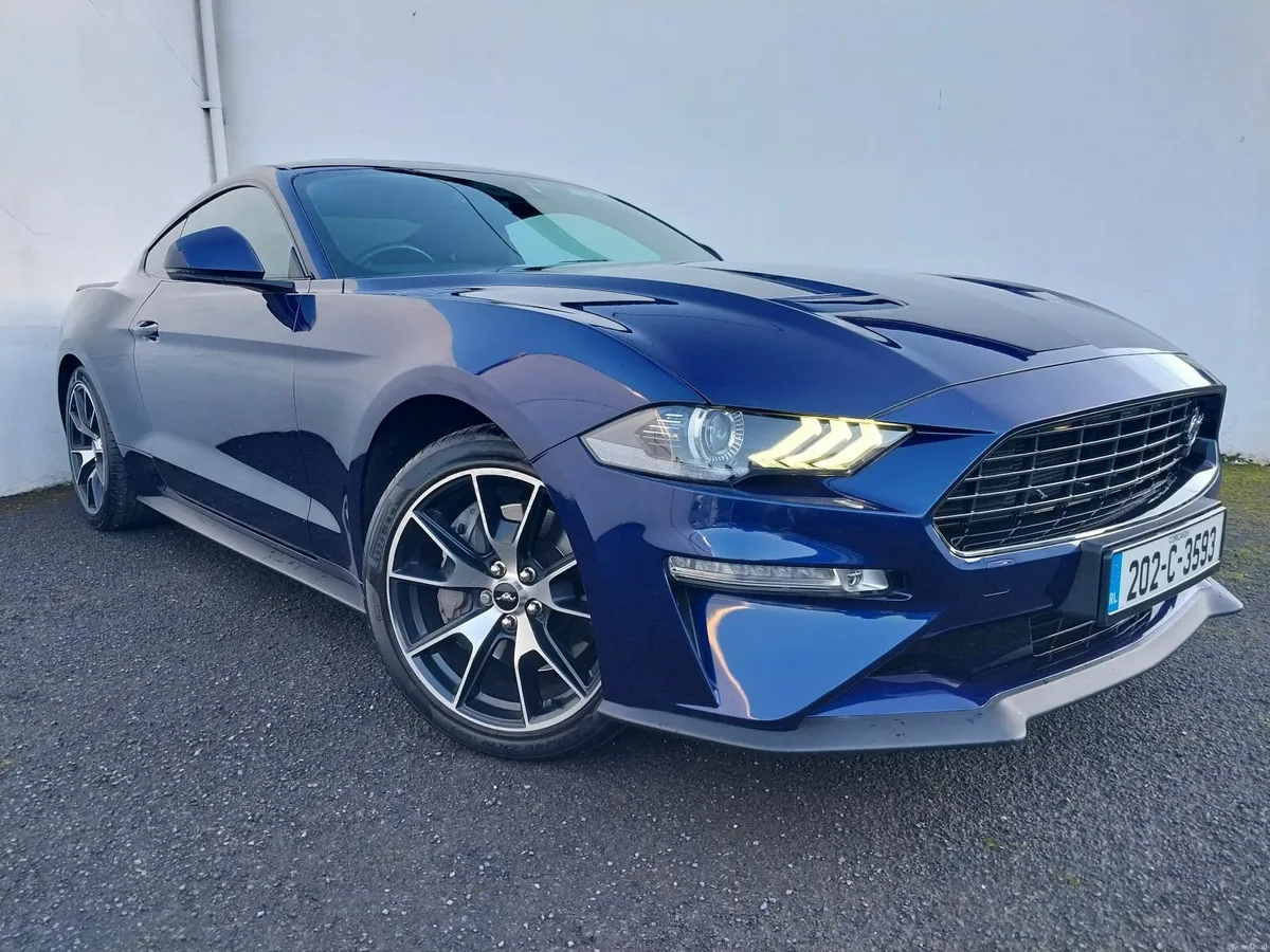 Exceptional Car, Finest Example in Ireland - Image 2