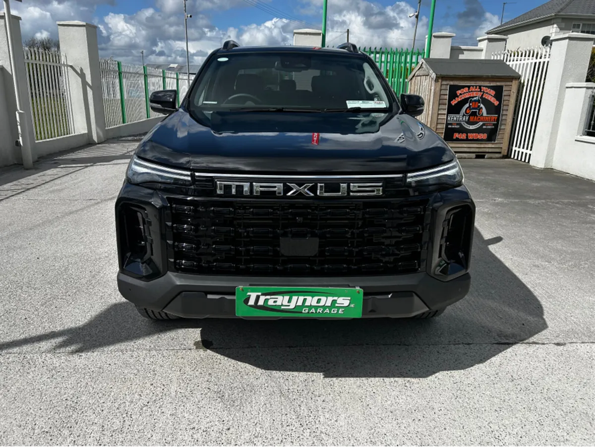 Maxus T90EV THIS VEHICLE COMES WITH A REAR ROLLER - Image 2