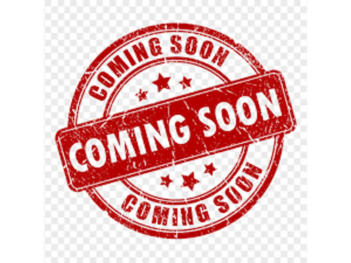 Hyundai IONIQ 5 EXECUTIVE 58KW 5DR AUTO - Image 2