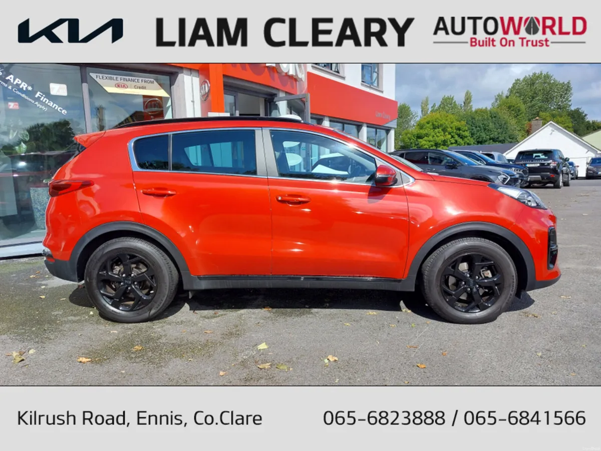 Kia Sportage K3 MHEV SPEC SPECIAL ED 5DR - Image 2