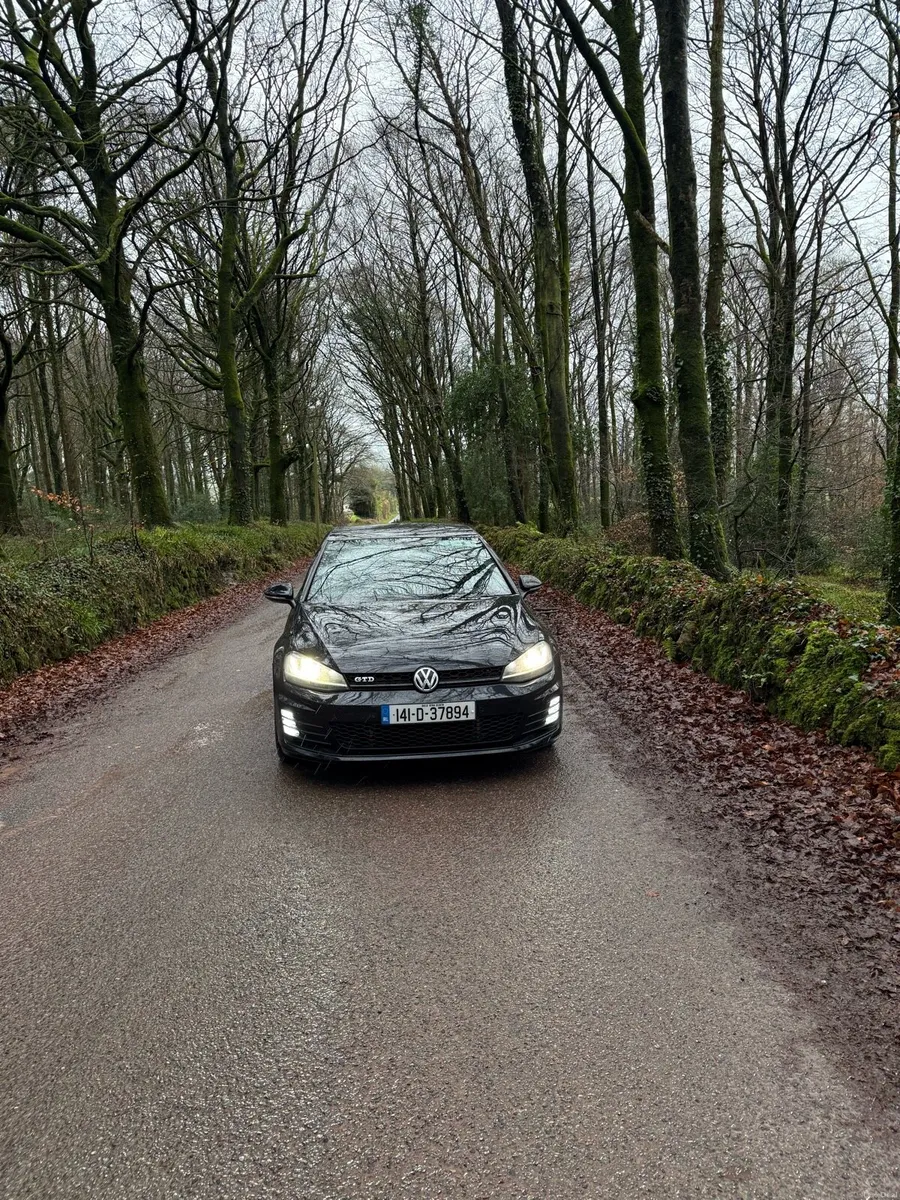 141 GTD GOLF - Image 3