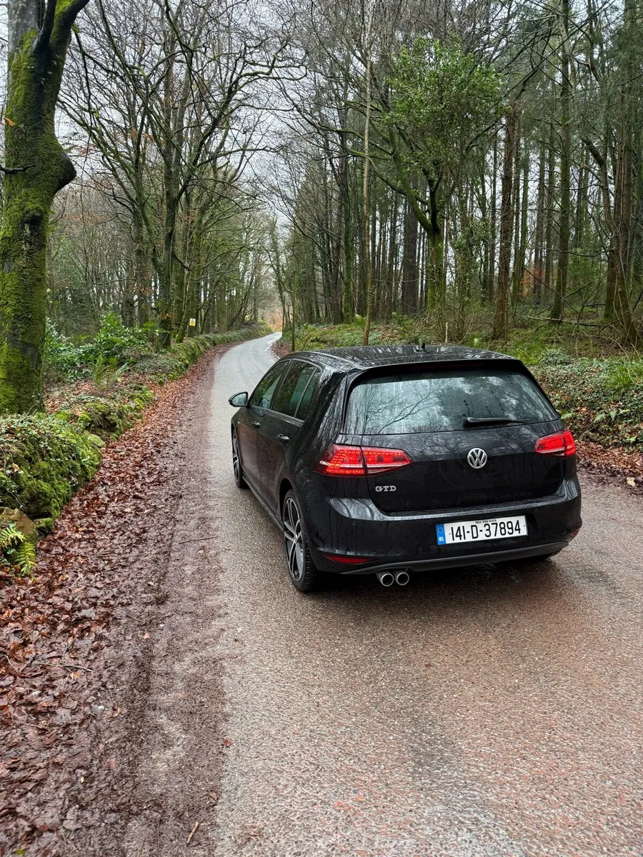 141 GTD GOLF - Image 4