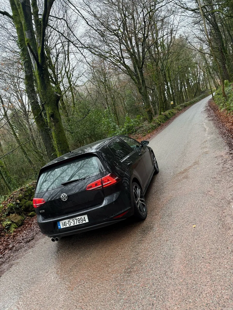 141 GTD GOLF - Image 2