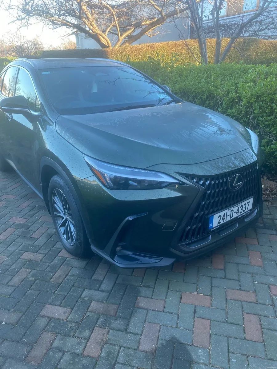 Lexus nx450h+ plug-in hybred - Image 2