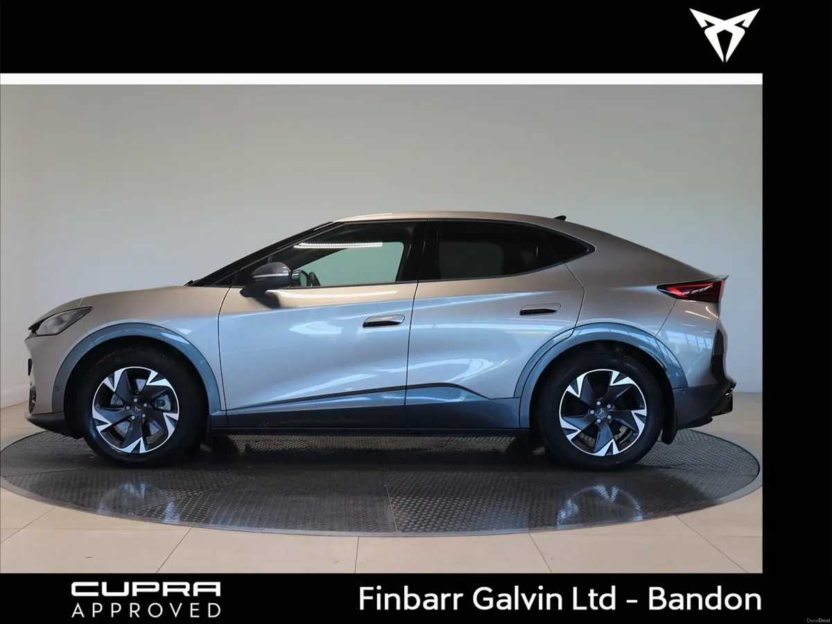 TAVASCAN ENDURANCE 282HP (4) - Image 3