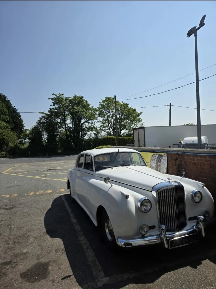 Bentley - Image 2