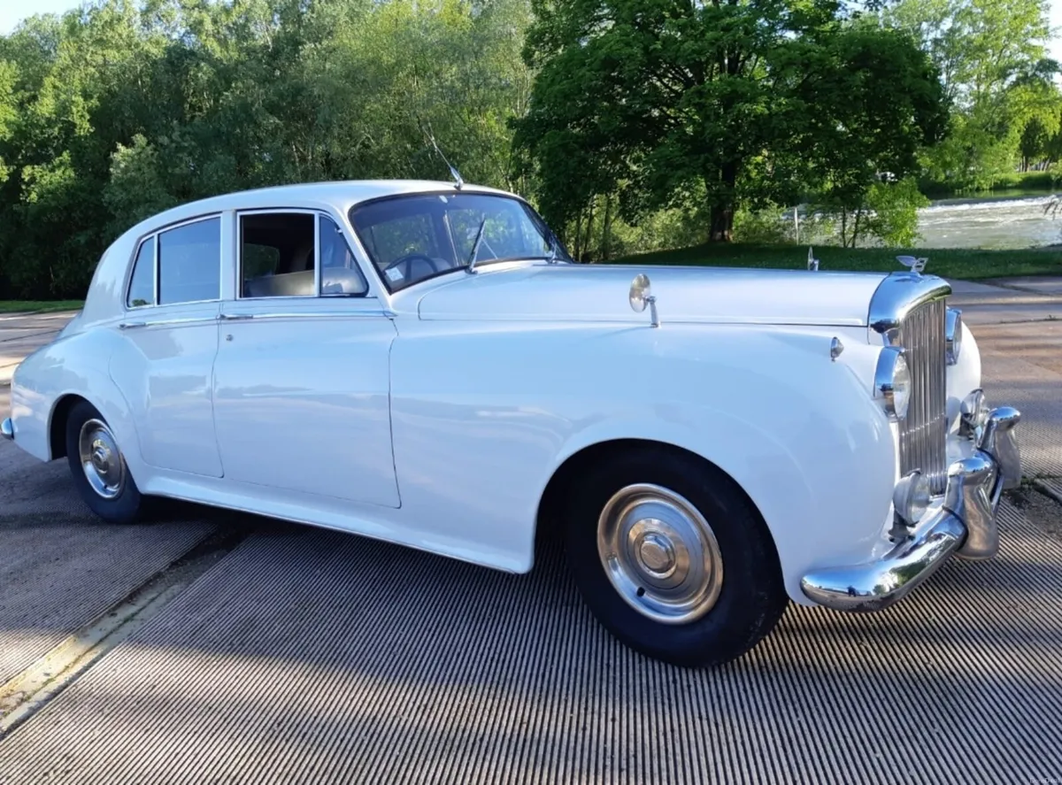 Bentley - Image 6