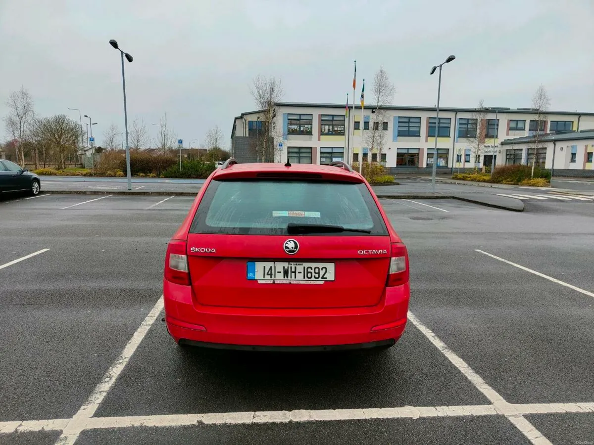 Estate Skoda Octavia new test - Image 2