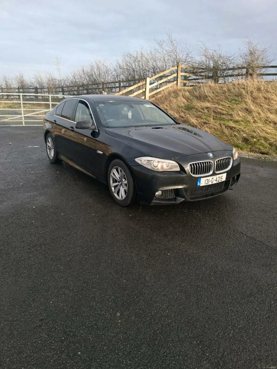 BMW 520d - Image 1
